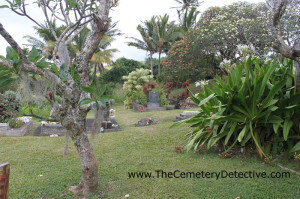 Niulii Cemetery